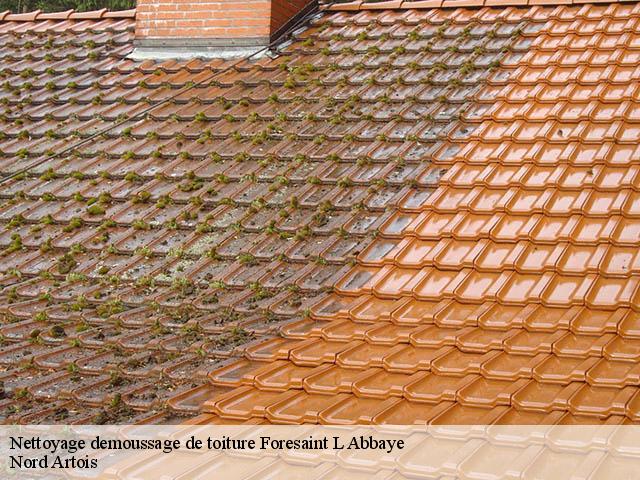 Nettoyage demoussage de toiture  foresaint-l-abbaye-80150 Nord Artois