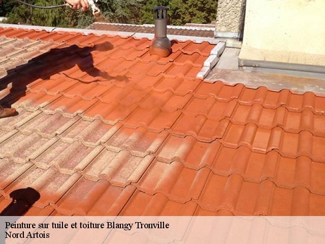 Peinture sur tuile et toiture  blangy-tronville-80440 Nord Artois