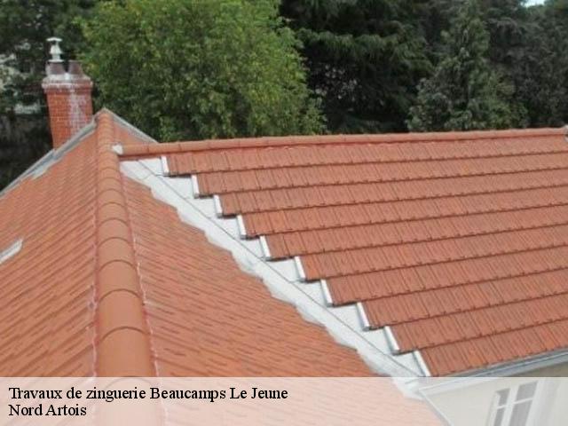 Travaux de zinguerie  beaucamps-le-jeune-80430 Nord Artois