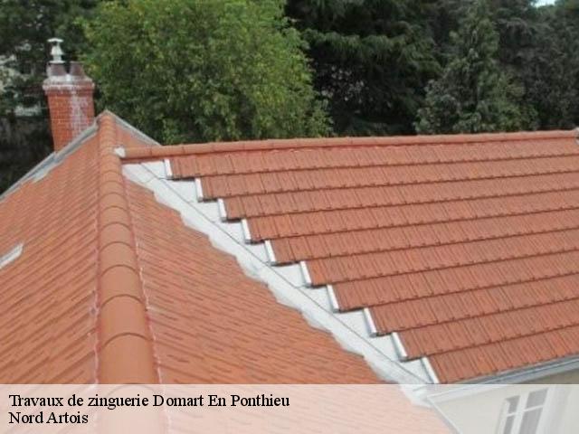 Travaux de zinguerie  domart-en-ponthieu-80620 Nord Artois